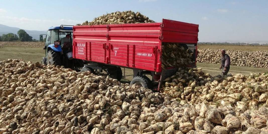 Kuraklık burayı etkilemedi, üretim yüzleri güldürdü! 1200 çiftçinin geçim kaynağı: Fabrikalar 2.100 TL’den alıyor 3